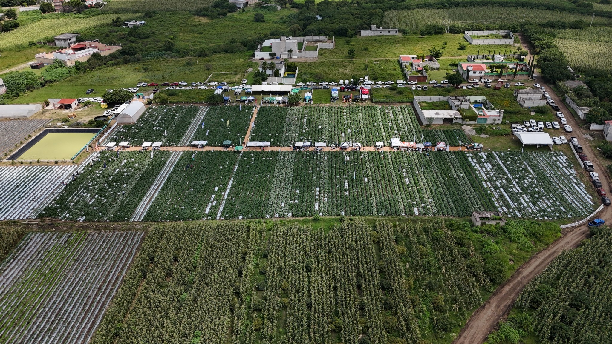 Demostración en campo